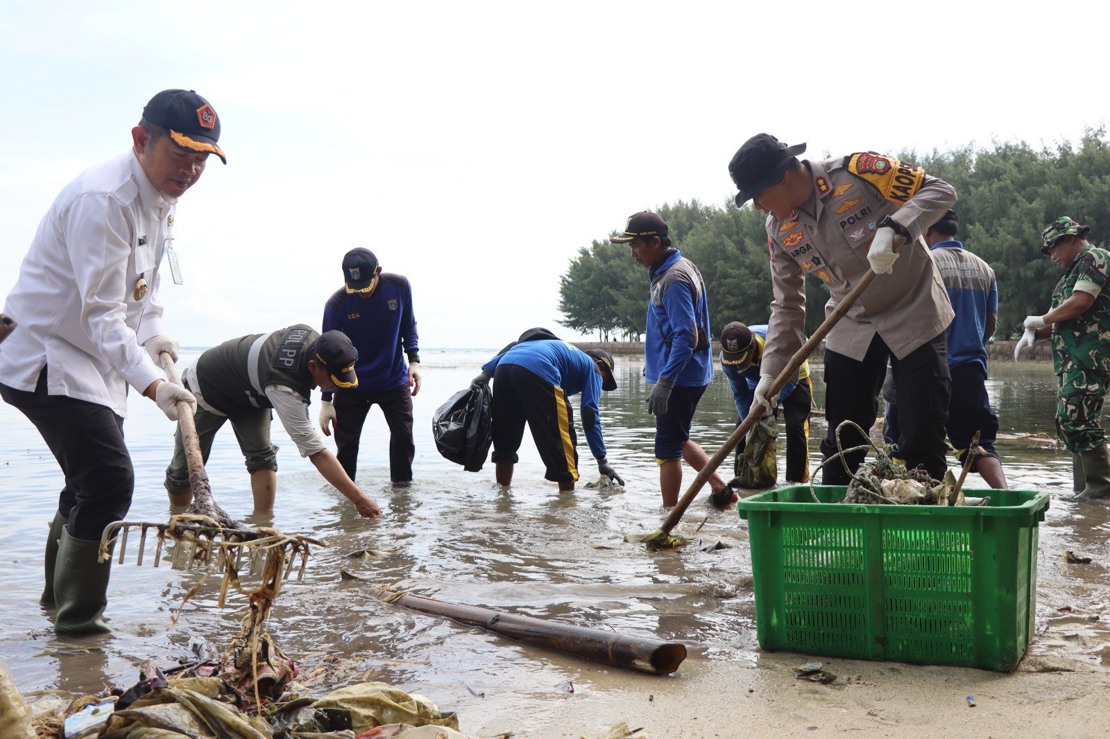 Polda Metro Jaya-Kodam Jaya-Pemprov DKI Kerja Bakti dan Tanam Mangrove di Pulau Tidung